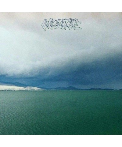 Modest Mouse FRUIT THAT ATE ITSELF Vinyl Record $10.92 Vinyl