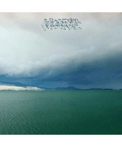 Modest Mouse FRUIT THAT ATE ITSELF Vinyl Record $10.92 Vinyl