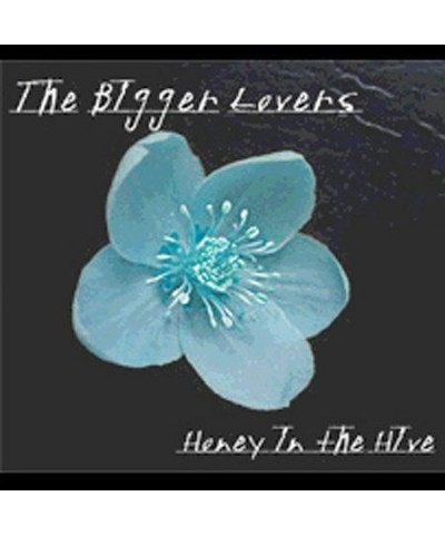 The Bigger Lovers HONEY IN THE HIVE CD $5.03 CD