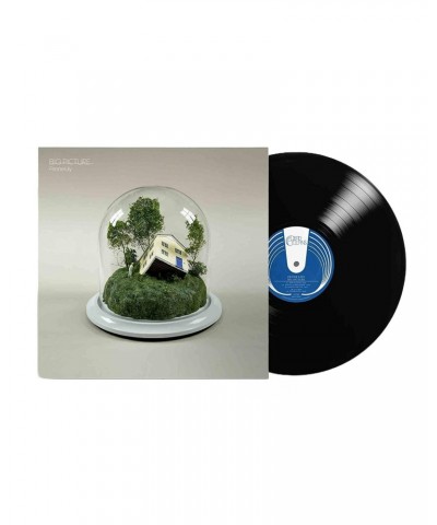 Fenne Lily Big Picture Vinyl Record $11.04 Vinyl