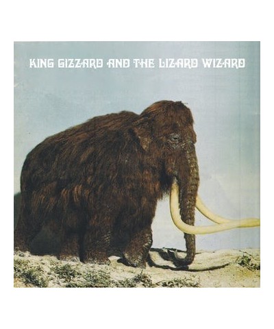 King Gizzard & The Lizard Wizard POLYGONDWANALAND (FUZZ CLUB VERSION) Vinyl Record $21.11 Vinyl