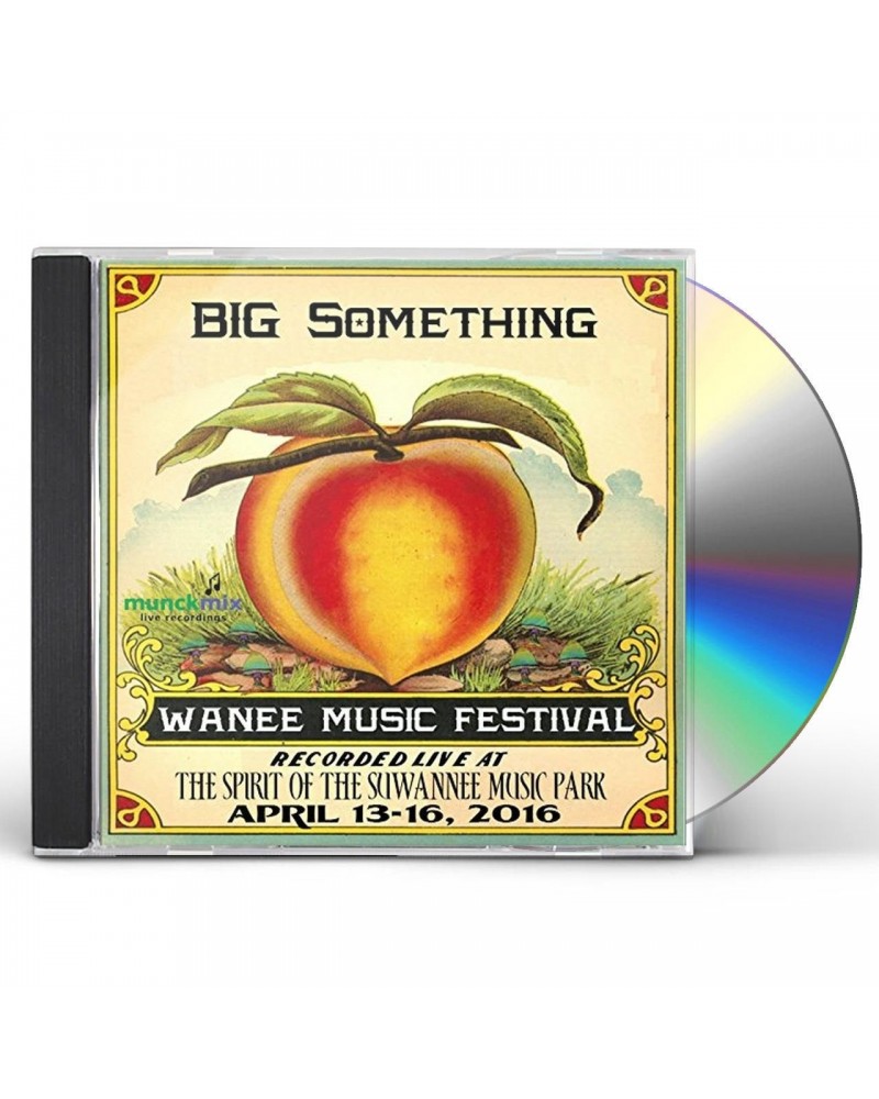 Big Something LIVE AT WANEE 2016 CD $6.80 CD