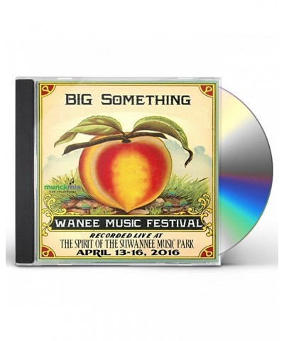 Big Something LIVE AT WANEE 2016 CD $6.80 CD